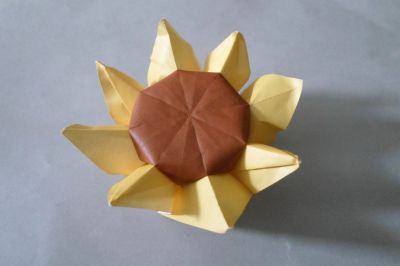 Tournesol
