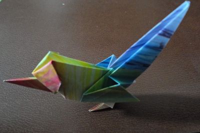 oiseau Roman Diaz
