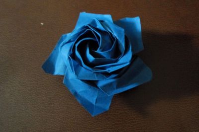 rose pentagonale Naomiki Sato
