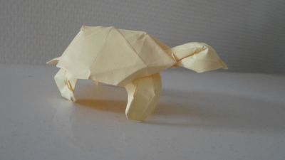tortue safari Albertino
papter origami 70g/m² 20x20cm

