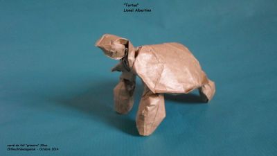 tortue Lionel Albertino 
