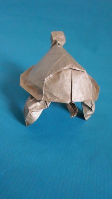 tortue Lionel Albertino dos
