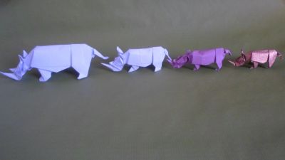 Rhinoceros Quentin Trollip 
carrés de 20 / 15 / 10 / 7,5
