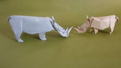Rhinoceros Quentin Trollip

