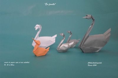 famille de cygnes-canard
cygne base du cerf-volant 
canard base du poisson
Mots-clés: cycgne canard