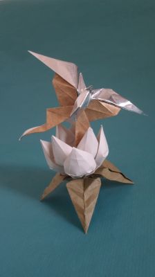 papillon_et_magnolys.jpg