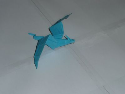origamaniaque_051.JPG