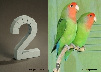 2-deux_Mini.jpg