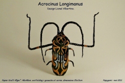 AcrocinusLongimanusM.jpg