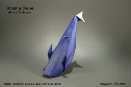 BaleineBleueP.jpg