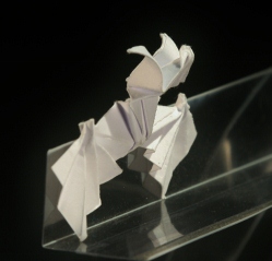 Bat-FBalintM1.jpg