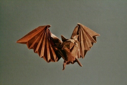 Bat2M.jpg