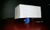 Carton_28100x6029.jpg