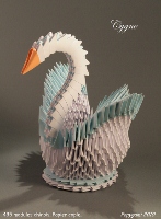 Cygne.jpg
