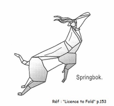 DessinSpringbok.jpg