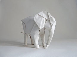 Elephant_Mabona.jpg