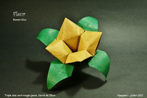 Fleur-RomanDiazP.jpg