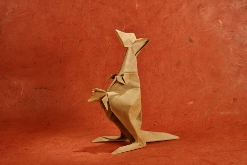 KangarooHagiwaraM.jpg