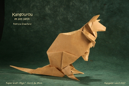 KangourouCrawfordP.jpg
