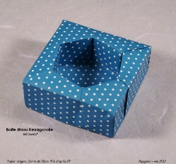 MasuHexagonaleMelisandeP.jpg