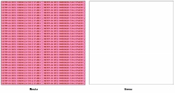 Papier_imprimeP.jpg
