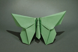 PapillonLafosseM.jpg
