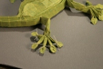 PatteGeckoP.jpg