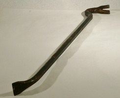 PiedDeBiche_281129.jpg