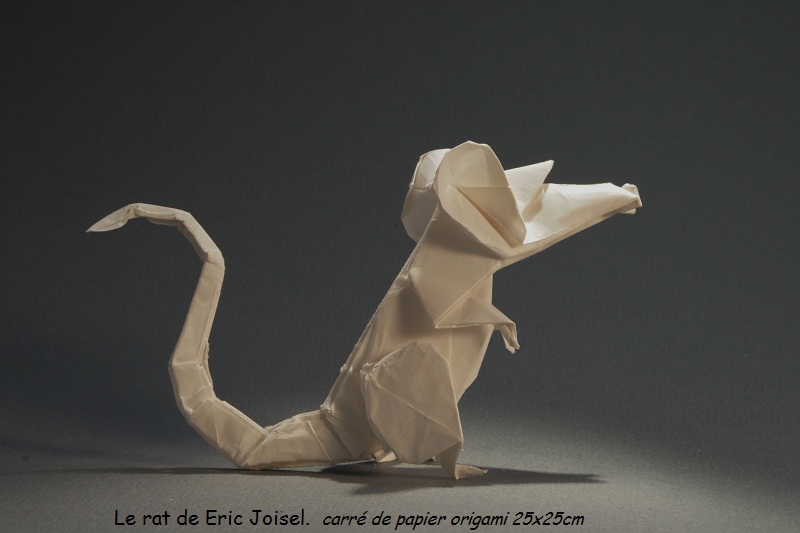 RatJoisel.JPG