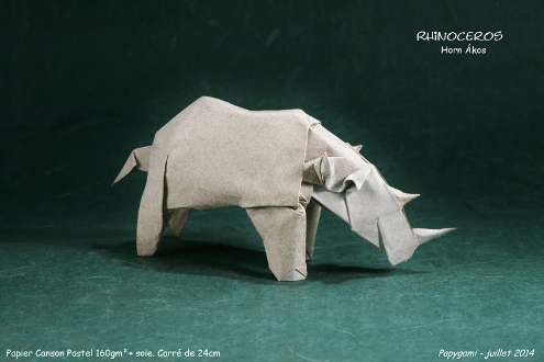 RhinocerosHornAkos_P.jpg