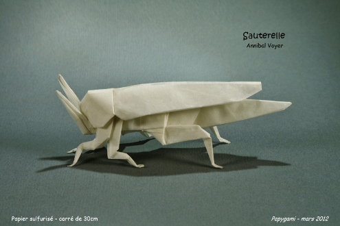 SauterelleVoyer_P.jpg