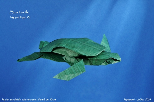 SeaTurtleNguyenNgocVu_P.jpg