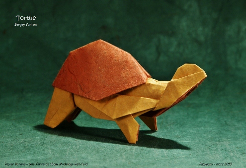 TortueSergeyYartsevP.jpg