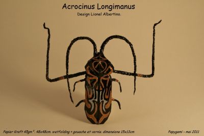 AcrocinusLongimanus.jpg