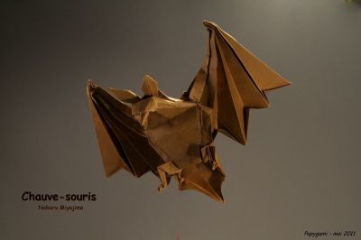 Bat.JPG