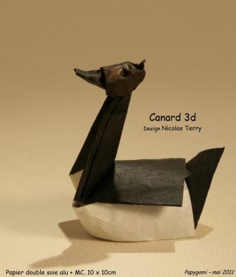 Canard3D.jpg