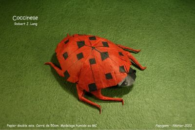 CoccinelleRJLangG.jpg