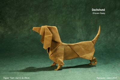 DachshundStevenCaseyG.jpg