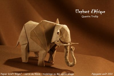 ElephantTrollip.jpg
