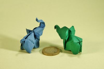 ElephantWeberCuong1G.jpg