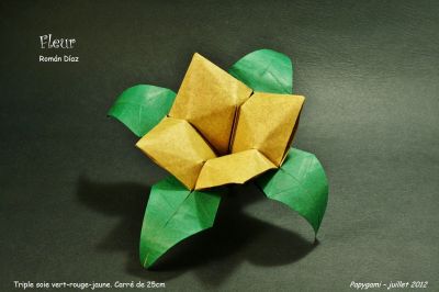 Fleur-RomanDiazG.jpg