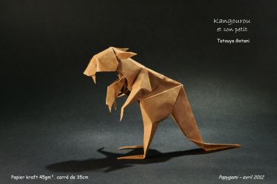 KangourouG.jpg