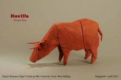 Novillo.jpg