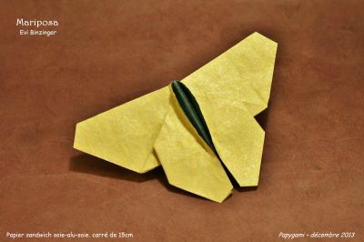 PapillonBinzinger1_G.jpg