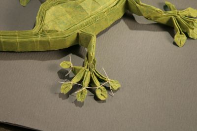 PatteGecko.jpg