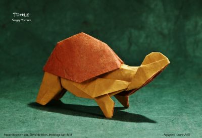 TortueSergeyYartsevG.jpg