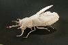 Nom du fichier=Beetle-1PT.jpg
Taille du fichier=33Ko
Dimensions : 100x67
Ajouté le : 02 Mai 2011 Beetle-1PT.jpg