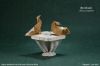 Nom du fichier=BirdbathPatCrawford_P.jpg
Taille du fichier=96Ko
Dimensions : 495x330
Ajouté le : 22 Juin 2014 BirdbathPatCrawford_P.jpg