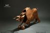 Nom du fichier=Bull2G.jpg
Taille du fichier=361Ko
Dimensions : 1600x1067
Ajouté le : 16 Novembre 2013 Bull2G.jpg