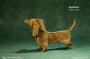 Nom du fichier=DachshundStevenCaseyP.jpg
Taille du fichier=102Ko
Dimensions : 495x330
Ajouté le : 21 Mars 2013 DachshundStevenCaseyP.jpg